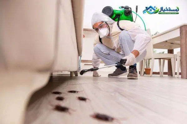شركة رش مبيدات بابها